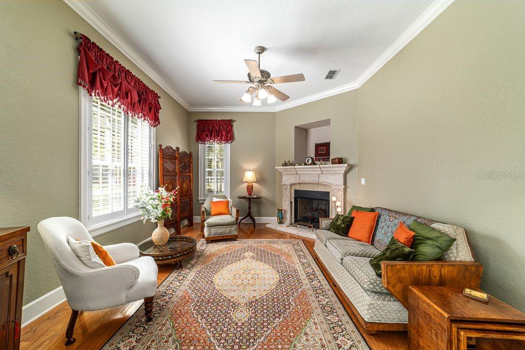 A living room features a fireplace, a patterned area rug, and a ceiling fan — 905 SE 12TH STREET, OCALA, FL