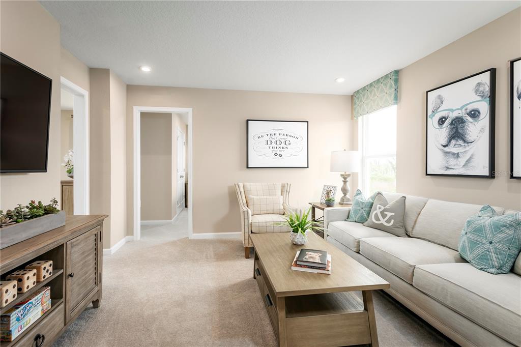 A living room features a beige sofa, a wooden coffee table, and framed dog artwork — 2439 WHITE LADYFISH ROAD, WIMAUMA, FL