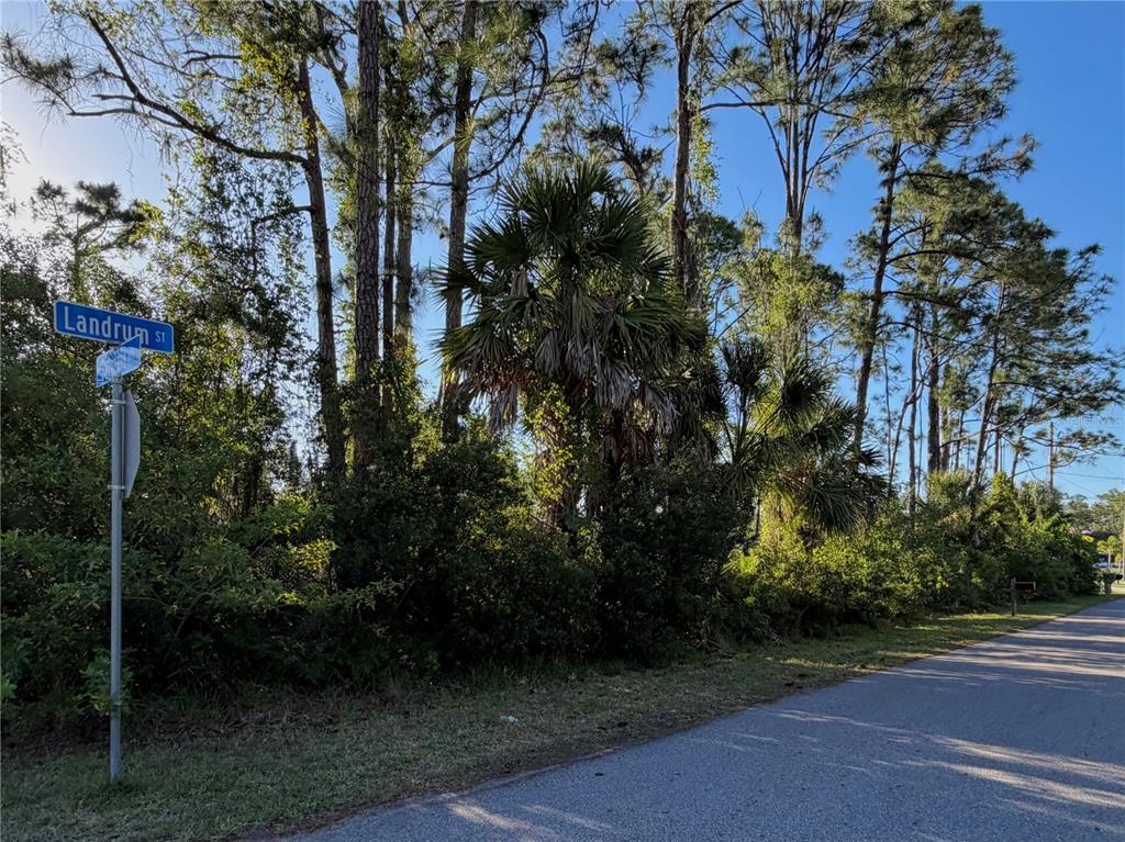 A street sign for Landrum St stands beside a wooded lot with tall pine trees — SYLVANIA AVENUE, NORTH PORT, FL