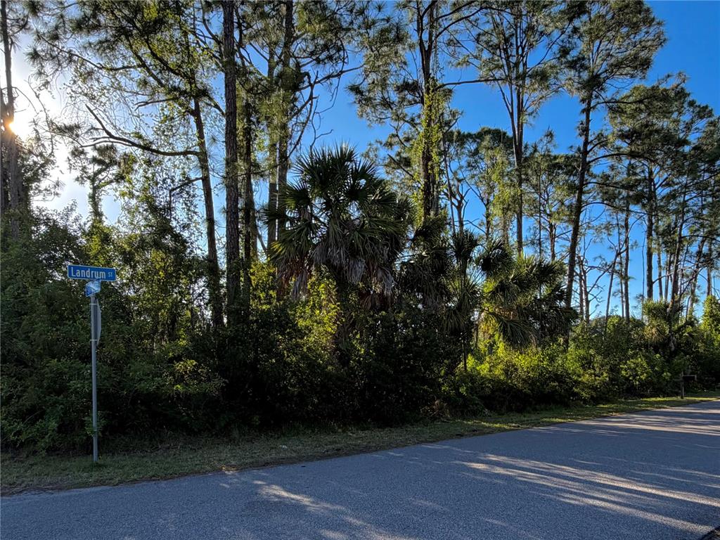 A street sign for Landrum St stands beside a wooded lot with tall pine trees — SYLVANIA AVENUE, NORTH PORT, FL