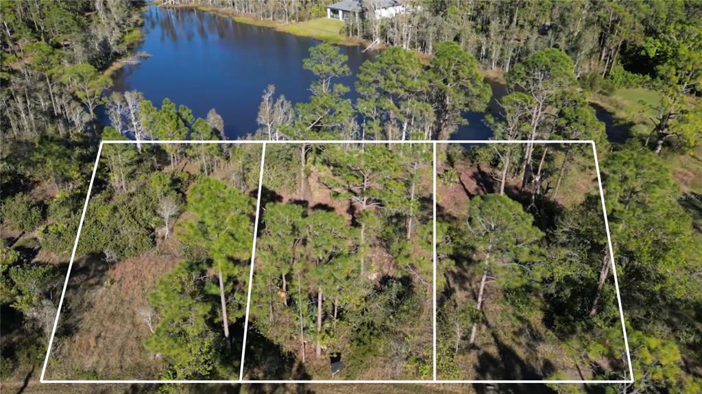 An aerial view shows three adjacent wooded lots bordering a lake — 12135 LUDDEN COURT, PUNTA GORDA, FL