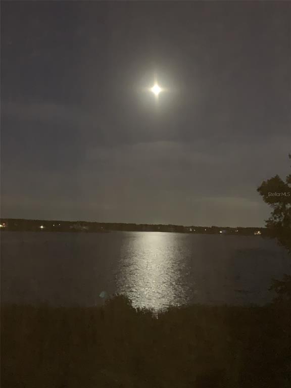 A bright moon shines over a dark lake at night with trees in the foreground — 16300 COUNTY ROAD 455 UNIT 305, MONTVERDE, FL