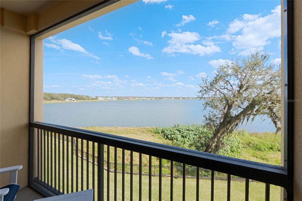 A screened-in balcony overlooks a lake with a grassy shoreline and a large tree — 16300 COUNTY ROAD 455 UNIT 305, MONTVERDE, FL
