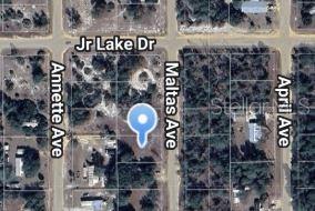 00 MALTAS AVENUE, INTERLACHEN, FL — photo 2 of 5