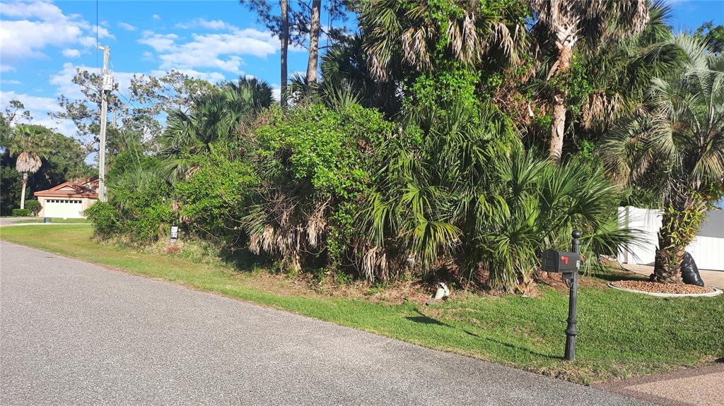 A vacant, tree-covered residential lot sits along a paved street next to a mailbox — 4 COVENTRY PLACE, PALM COAST, FL