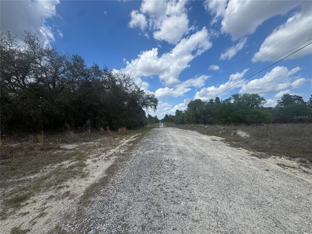 A gravel road stretches through a rural landscape with trees on both sides — tbd SE 131ST TERRACE, DUNNELLON, FL