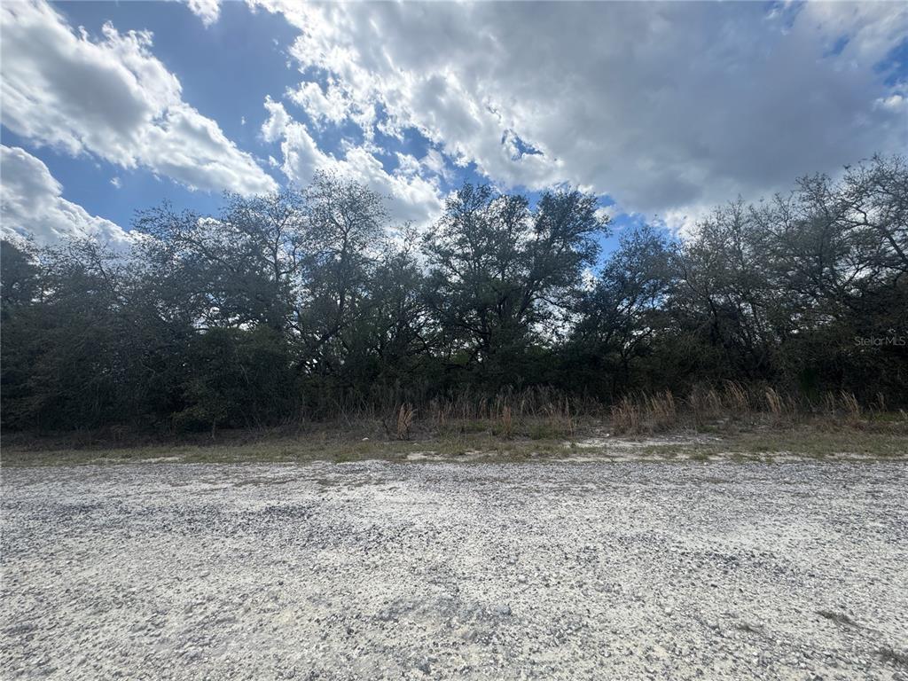 A gravel road leads to a dense line of trees under a cloudy sky — tbd SE 131ST TERRACE, DUNNELLON, FL