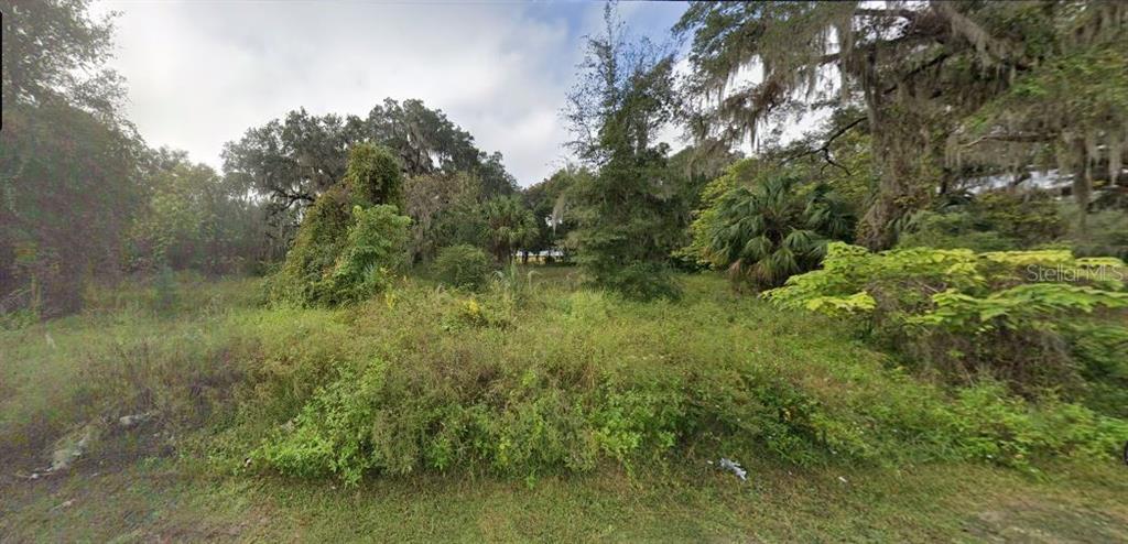 A vacant, overgrown lot filled with various trees, shrubs, and tall grasses — 302 SE 65TH AVENUE, HAWTHORNE, FL