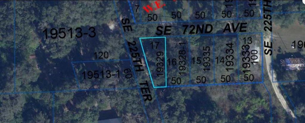 This is a satellite map view showing a highlighted rectangular land parcel among wooded lots — 302 SE 65TH AVENUE, HAWTHORNE, FL
