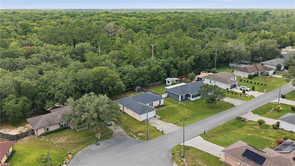 An aerial view shows several suburban houses with yards bordering a dense forest — 5 FIR DRIVE, OCALA, FL