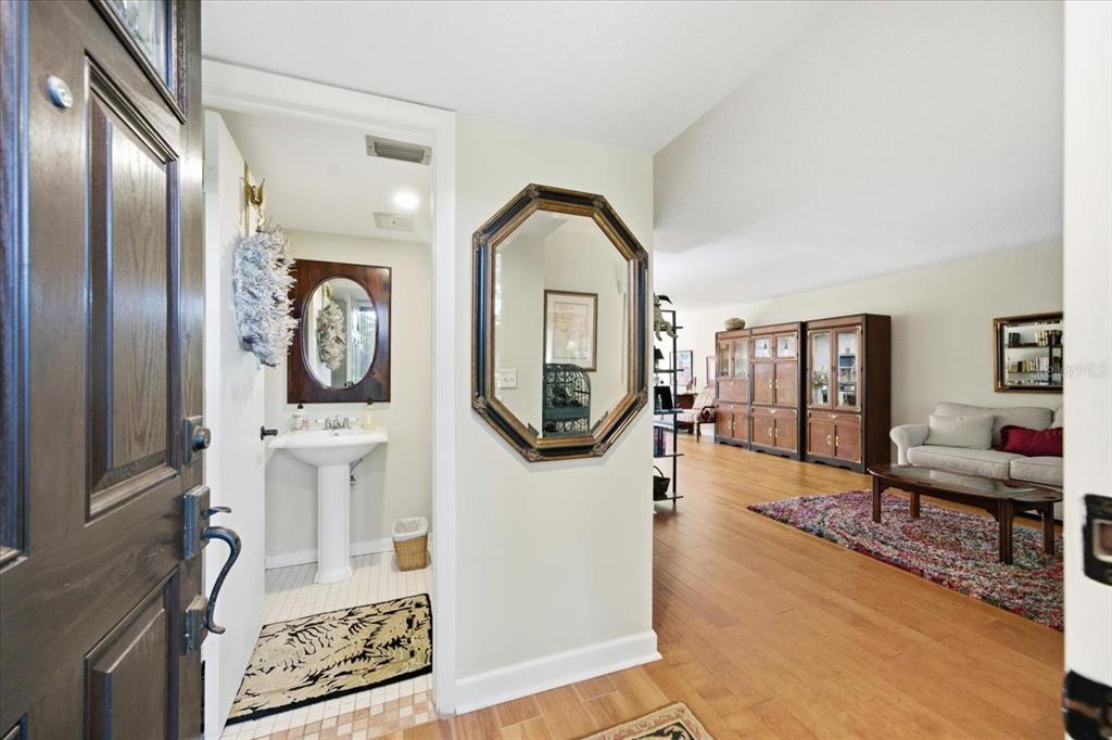 An entryway leads to a small powder room on the left and a living area — 10603 CARROLLBROOK WAY UNIT 10603, TAMPA, FL