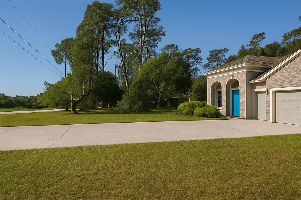 A view of a house exterior with a bright blue door and a concrete driveway — 26047 EXMOOR DRIVE, SORRENTO, FL