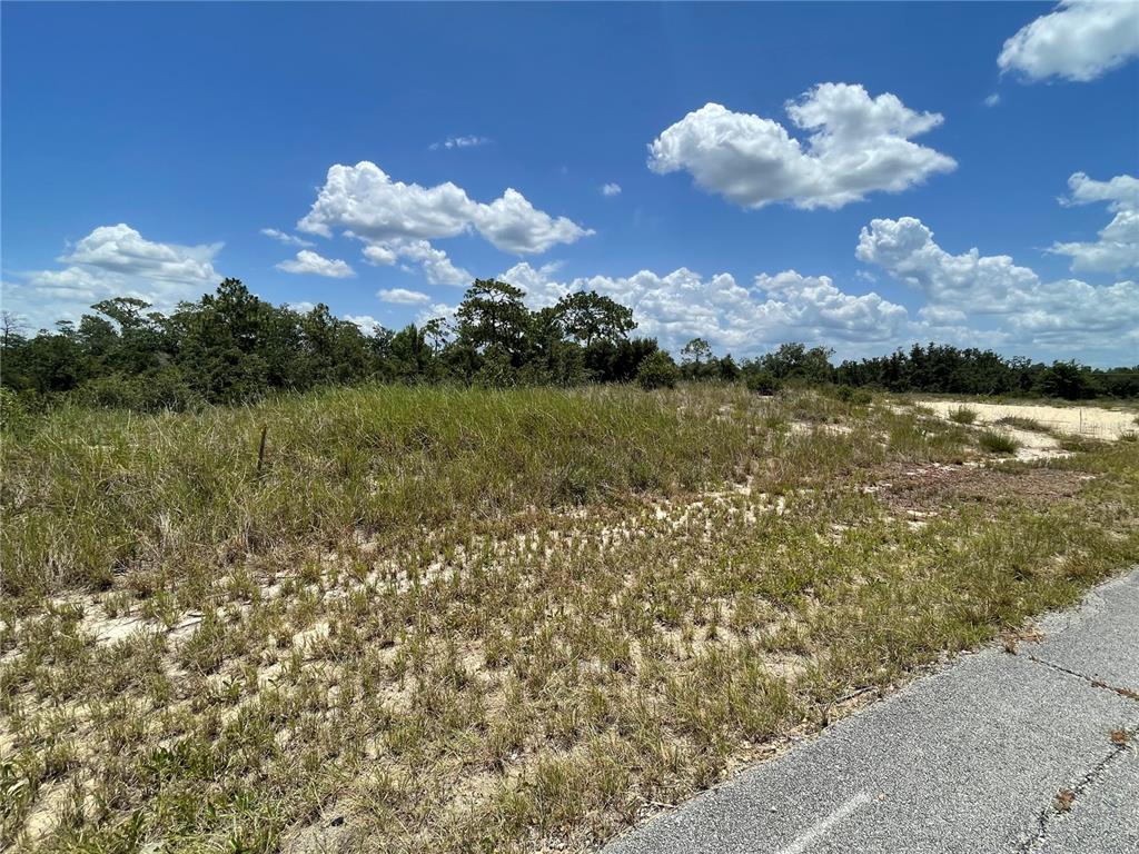 A vacant, grassy lot with sandy soil sits beside an asphalt road under a blue sky — 1342 HOMOSASSA COURT, POINCIANA, FL