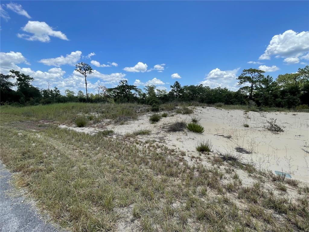 A vacant, sandy lot with sparse vegetation and trees under a blue sky — 1342 HOMOSASSA COURT, POINCIANA, FL