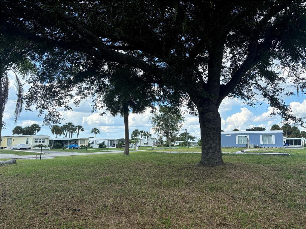 A large oak tree stands in a grassy yard in front of several mobile homes — 1533 BLUE HERON DRIVE, ENGLEWOOD, FL