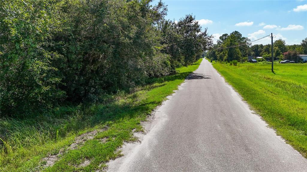 A narrow paved road stretches into the distance between a grassy field and dense trees — RED HAWK LANE, PLANT CITY, FL