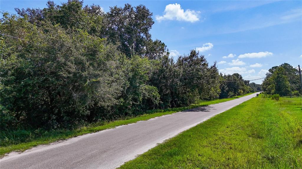 A paved road runs alongside a dense line of trees under a blue sky — RED HAWK LANE, PLANT CITY, FL