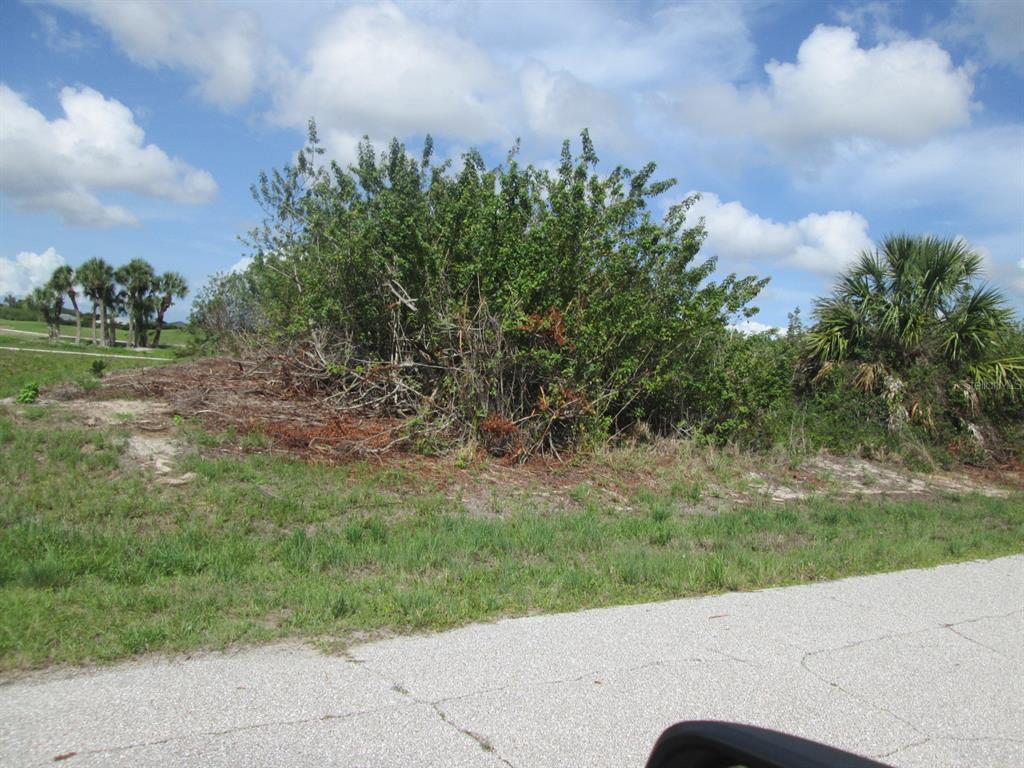 A vacant, grassy lot features a large, dense shrub and several palm trees under a sky — 6663 & 6669 KEVITT BOULEVARD, PORT CHARLOTTE, FL