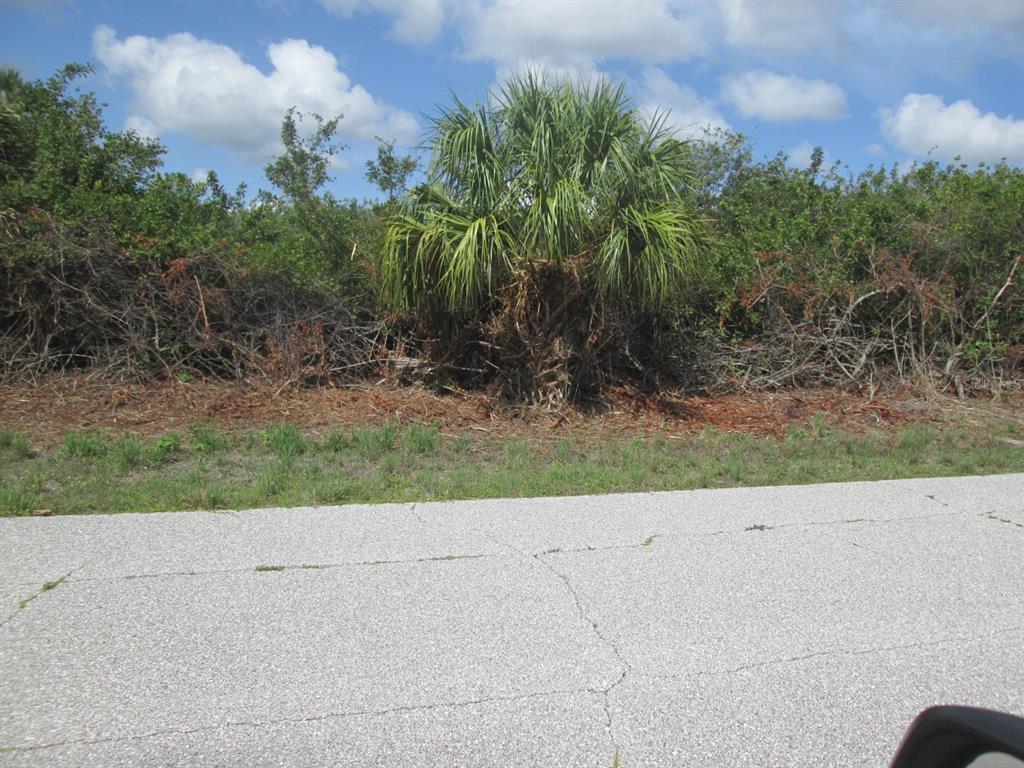 A palm tree stands in a brush-filled lot next to a cracked asphalt road — 6663 & 6669 KEVITT BOULEVARD, PORT CHARLOTTE, FL