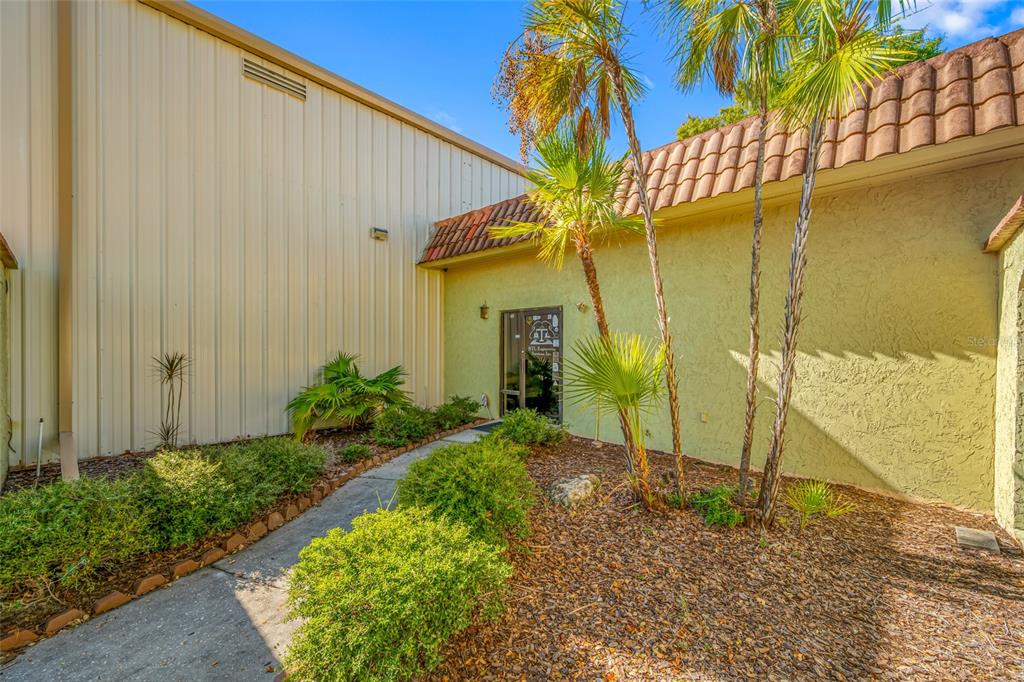 A concrete walkway leads to the glass entrance door of a building with stucco walls — 5802 N OCCIDENT STREET, TAMPA, FL