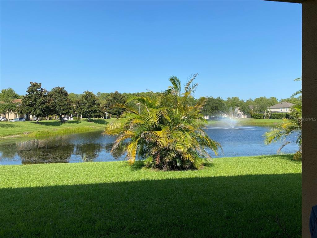 A view of a pond with a fountain and palm trees from a grassy backyard — 10076 SILVER LAUREL WAY, ORLANDO, FL