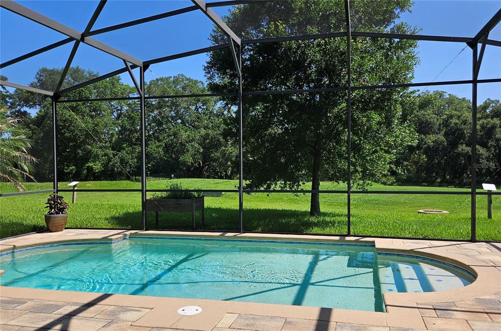 A screened-in pool patio features light-colored pavers and a view of a grassy backyard — 1743 FULLERS OAK LOOP, WINTER GARDEN, FL