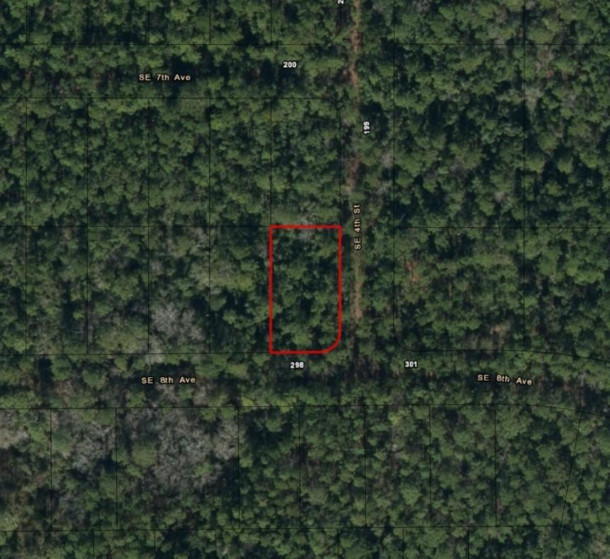 An aerial map view shows a rectangular, tree-covered vacant lot outlined in red — 0 SE 8th Avenue, Palatka FL 32177, PALATKA, FL