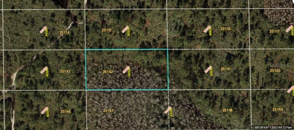 This aerial map shows a highlighted rectangular plot of land surrounded by wooded lots — DILL ROAD, ORLANDO, FL