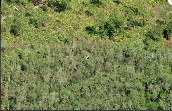 An aerial view shows a wooded lot with a red location pin in the center — DILL ROAD, ORLANDO, FL