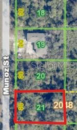 This is a map showing a rectangular lot labeled 21 along Munoz Street — 384 MUNOZ STREET, PORT CHARLOTTE, FL