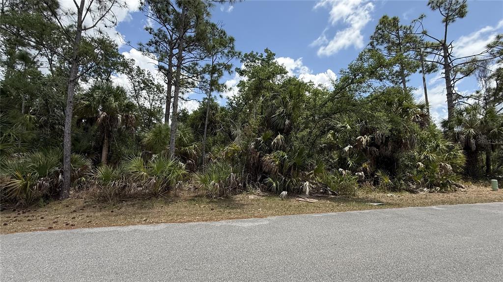 A vacant, wooded lot with pine trees and palmettos sits along a paved road — 384 MUNOZ STREET, PORT CHARLOTTE, FL
