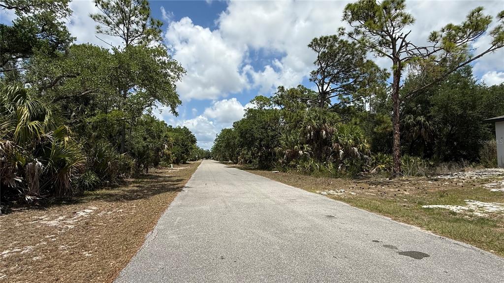A paved road stretches through a wooded area with dense trees and vegetation on both sides — 384 MUNOZ STREET, PORT CHARLOTTE, FL