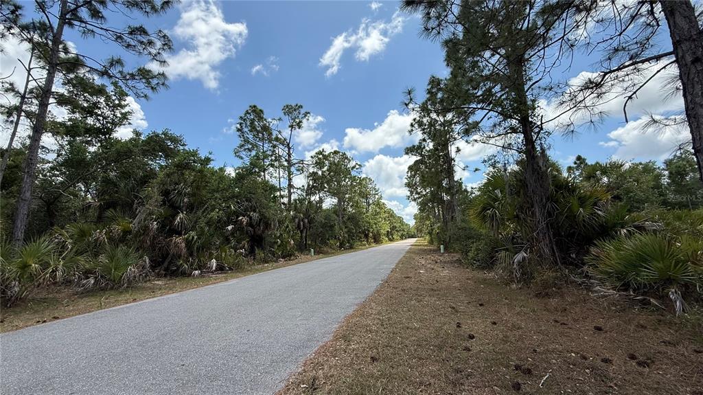 A paved road stretches through a wooded area with pine trees and palmetto bushes — 384 MUNOZ STREET, PORT CHARLOTTE, FL