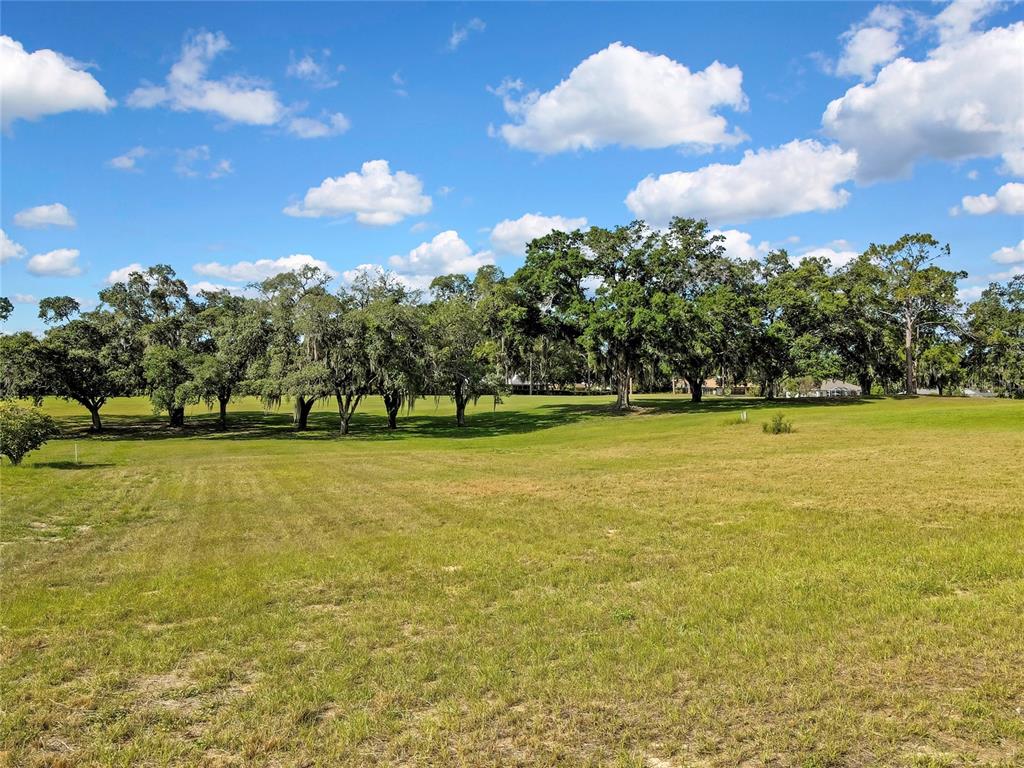 A large, grassy field with scattered mature trees under a bright blue sky — 368 E FALCONRY COURT, HERNANDO, FL