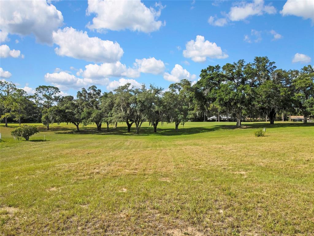 A large, grassy field features a line of mature trees under a blue sky — 368 E FALCONRY COURT, HERNANDO, FL