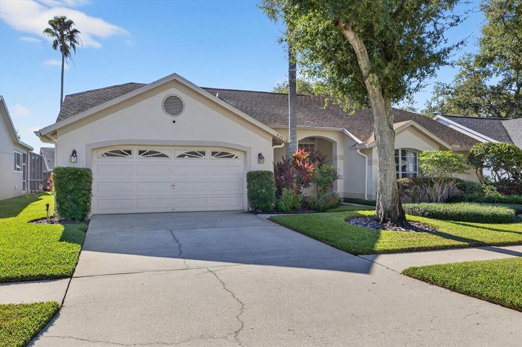 9203 SUNFLOWER DRIVE