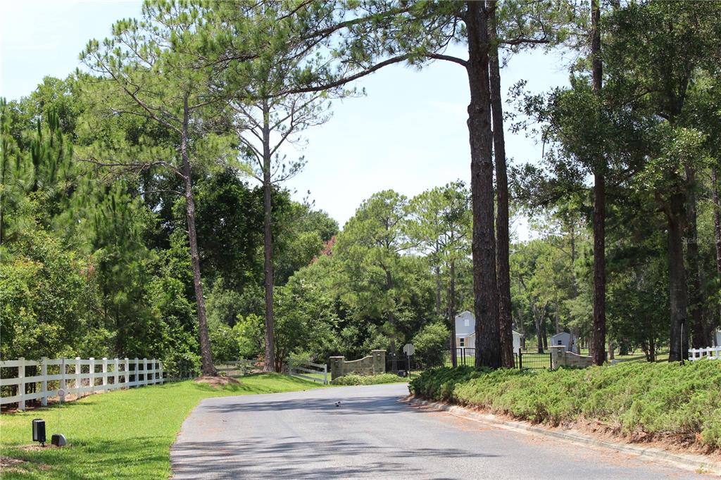 A paved road leads toward a gated entrance surrounded by tall trees and white fencing — 3117 BRIGHT LAKE CIRCLE lot 63, GROVELAND, FL