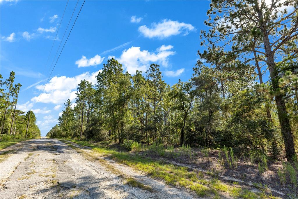 A paved road runs alongside a wooded lot under a blue sky with scattered clouds — LOTS 16 AND 17 SE 130TH CT, DUNNELLON, FL