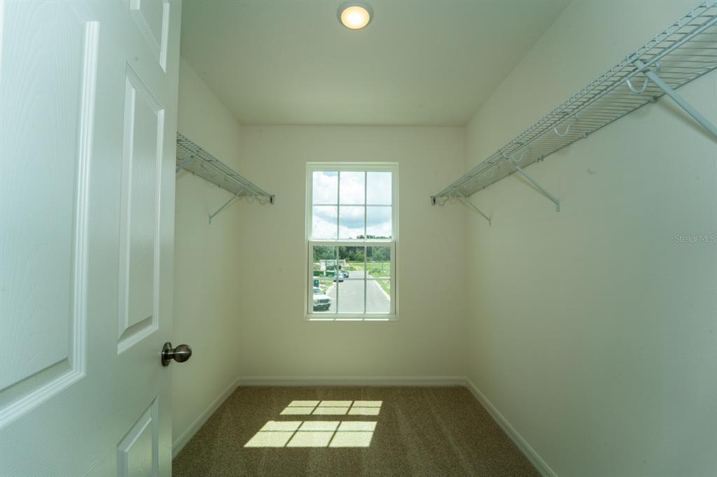 A walk-in closet features beige carpet, white walls, wire shelving, and a single window — 1673 SWAN SWIM DRIVE, DAVENPORT, FL