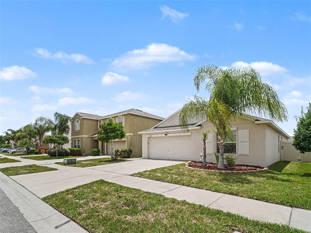A street view of two suburban houses with driveways, lawns, and palm trees under a sky — 16803 PEACEFUL VALLEY DRIVE, WIMAUMA, FL