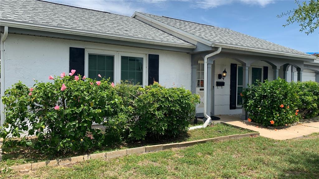A single-story house with a white stucco facade, gray roof, and large hibiscus bushes — 3552 BLUEBELL LANE, HOLIDAY, FL