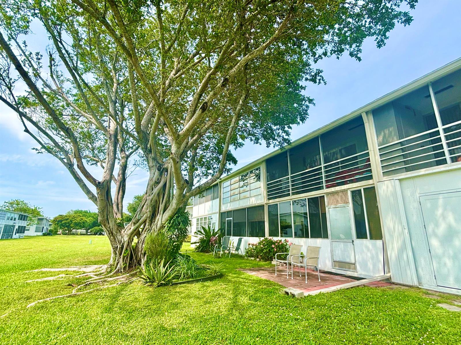 A large tree stands beside a two-story apartment building with screened-in balconies and patios — 203 Farnham I # 203, Deerfield Beach FL 33442, DEERFIELD BEACH, FL