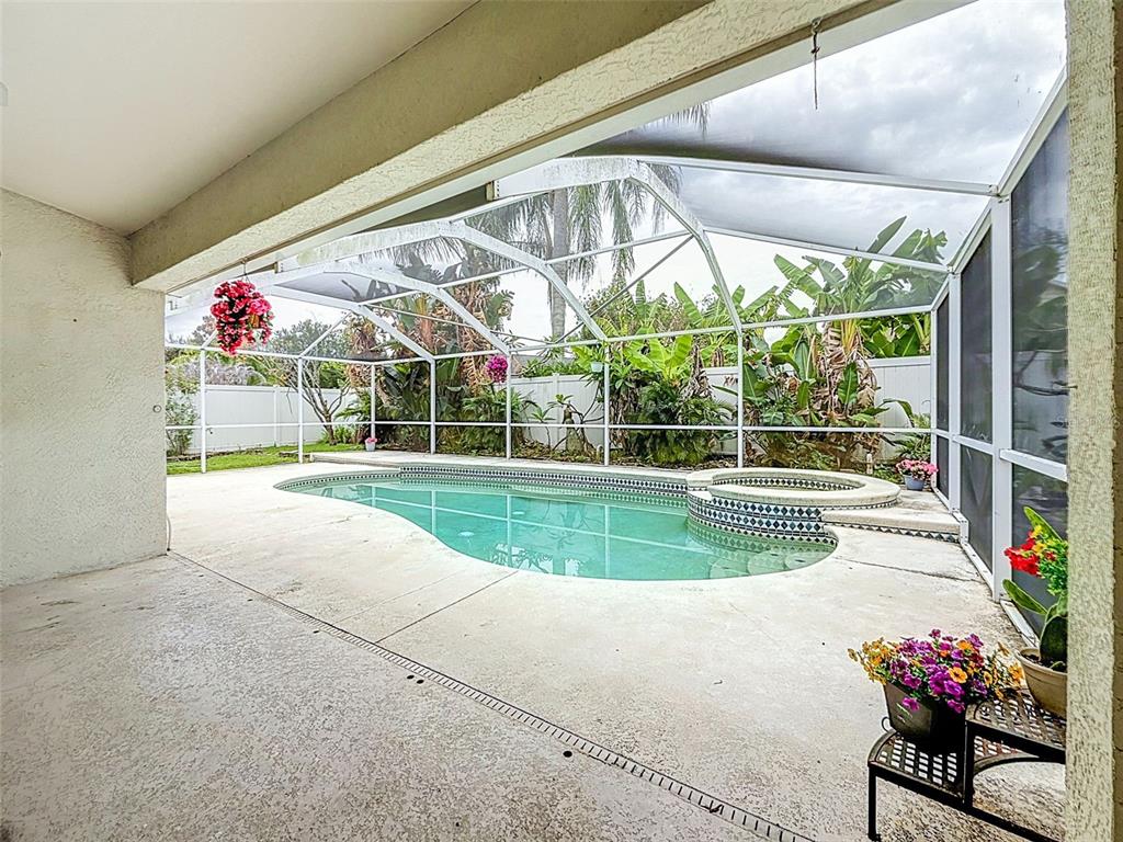 A screened-in patio features a swimming pool, a hot tub, and potted flowers — 2003 BERRY LAKE DRIVE, BRANDON, FL