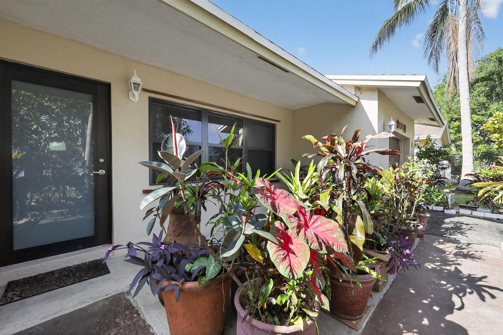 A row of potted tropical plants sits on a concrete walkway in front of a house — 9522 Affirmed Lane, Boca Raton FL 33496, BOCA RATON, FL