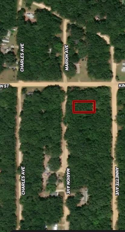 This is an aerial map showing a rectangular plot of land highlighted in red — LOT 2 MARION AVENUE, INTERLACHEN, FL