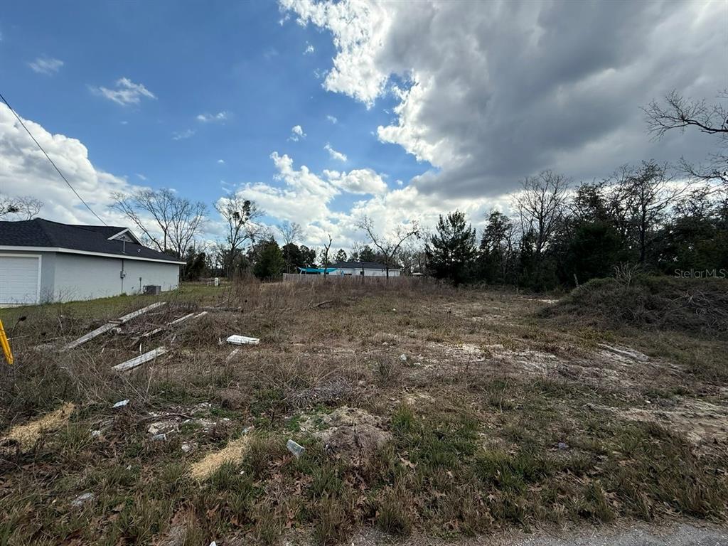 A vacant, overgrown residential lot sits next to a house with a white garage — 41 FISHER LANE TRACK, OCKLAWAHA, FL