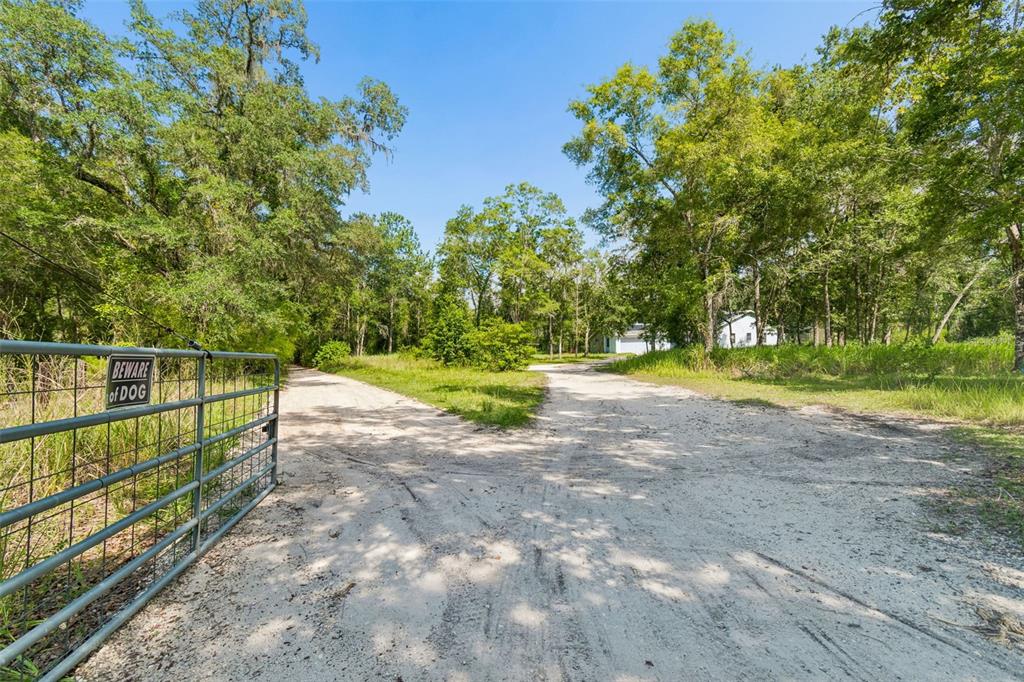 A dirt driveway leads past a metal gate toward a house nestled among tall trees — 3140 CRUM ROAD, BROOKSVILLE, FL