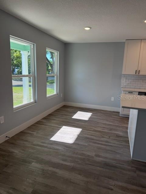 A dining area features light gray walls, wood-look flooring, and two windows overlooking the yard — 521 SKYLINE DRIVE E, LAKELAND, FL