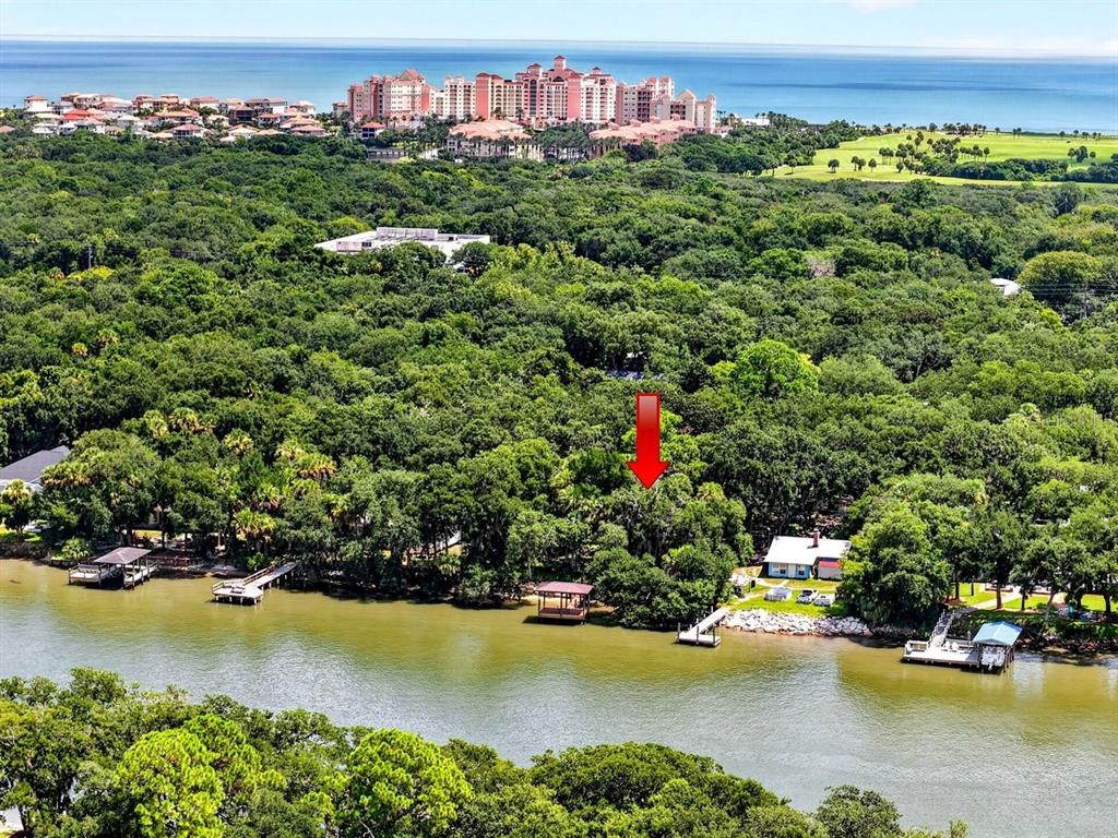 An aerial view shows a wooded waterfront property with a red arrow pointing toward trees — 114 HERNANDEZ AVENUE, PALM COAST, FL