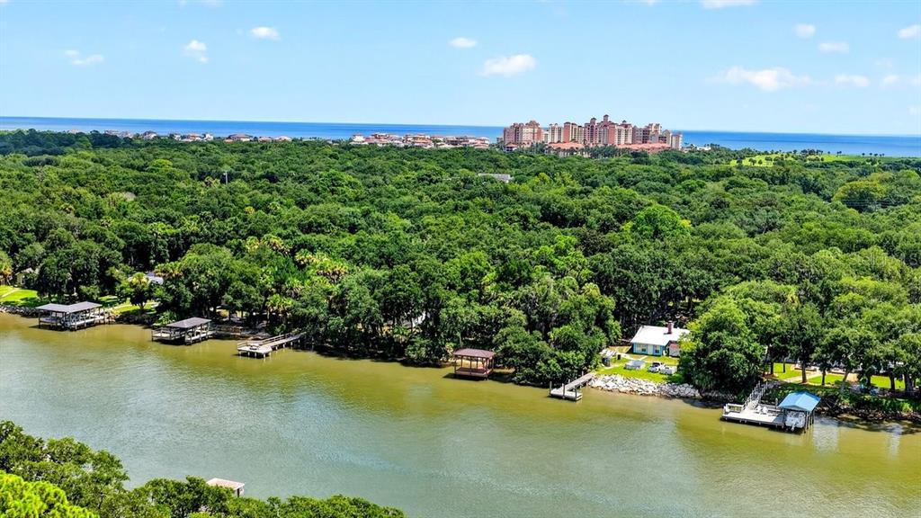 An aerial view shows a river with several boat docks and a house near dense trees — 114 HERNANDEZ AVENUE, PALM COAST, FL
